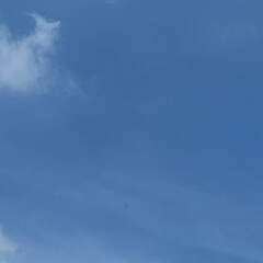 22-04-15 13-50-05 0495